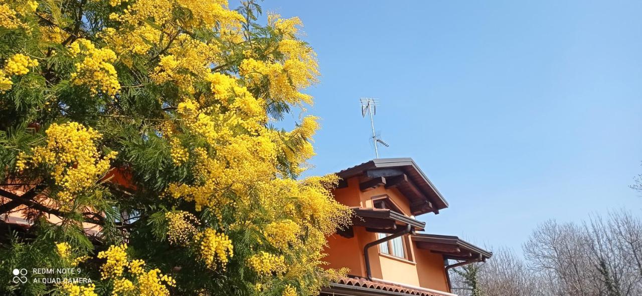 I Salici Apartment Candia Canavese Екстериор снимка